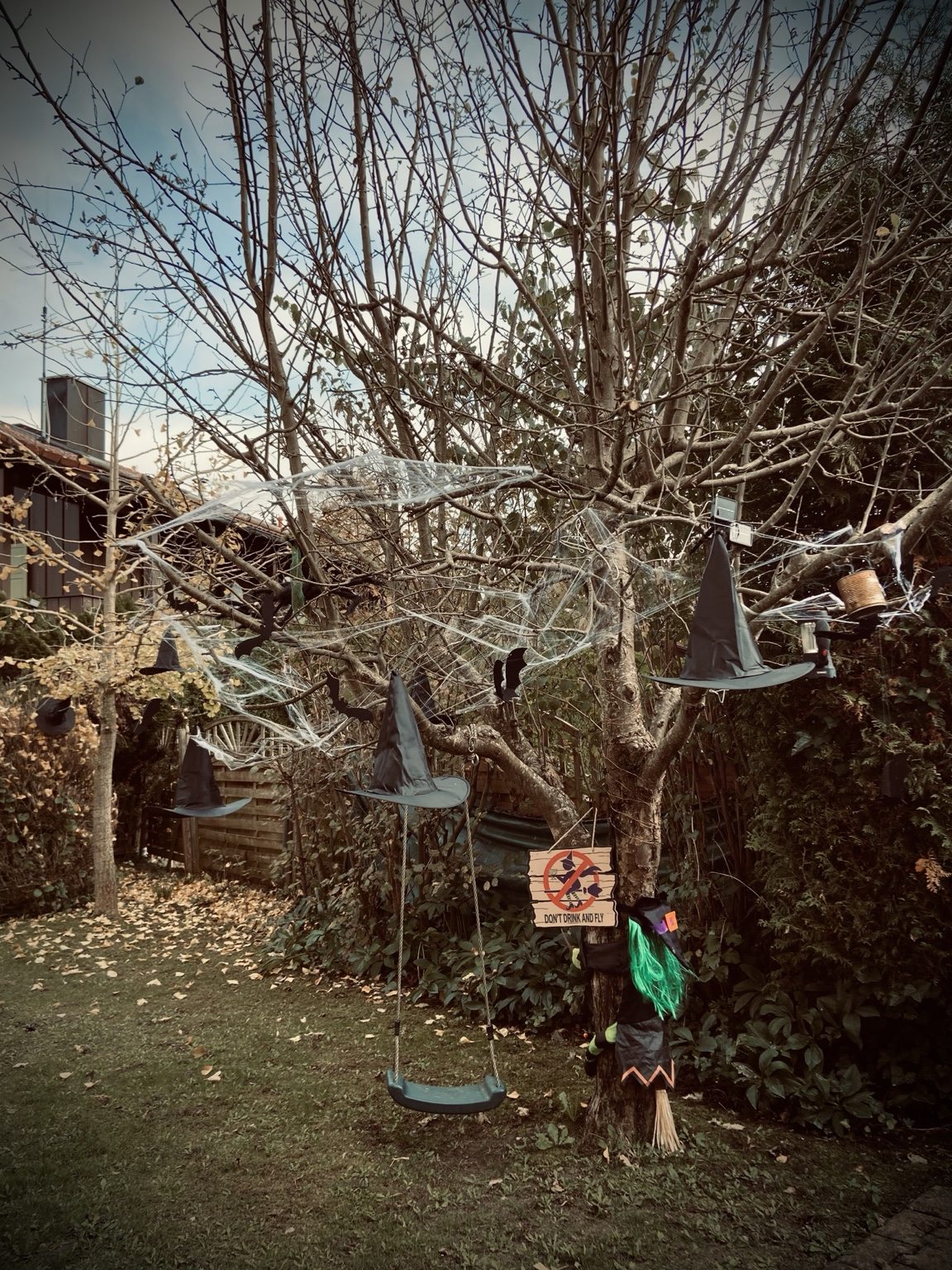 Hexenhüte und Spinnweben im Garten